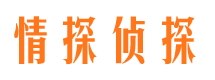 会宁市私家侦探